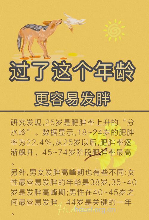 为什么中年男人比较容易发福