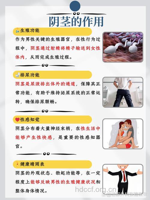 阳痿的护理措施有哪些