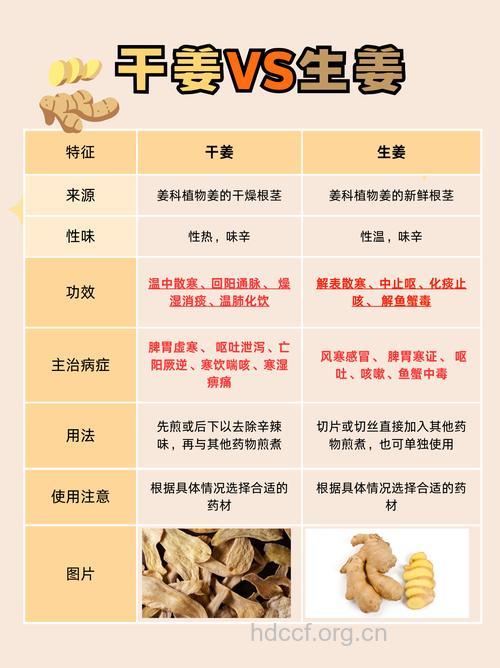 干姜能不能治男性阳痿