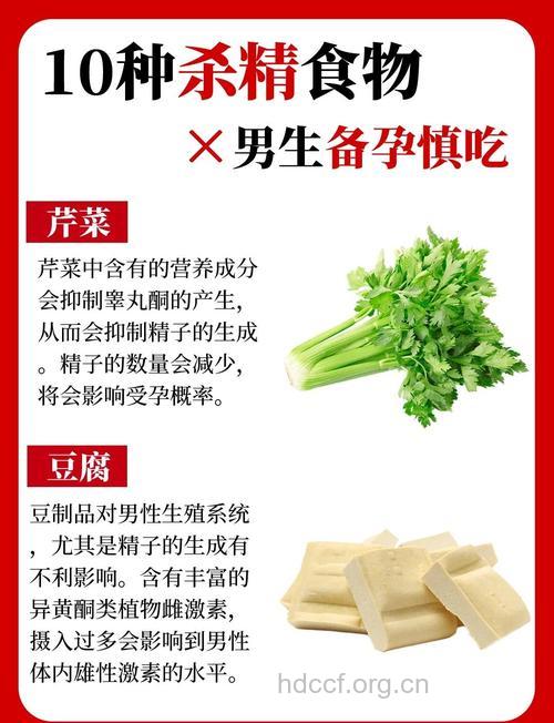 精子数量少影响生育 生精食物有哪些