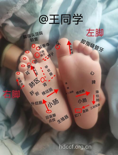 男人怎么从脚看健康状况