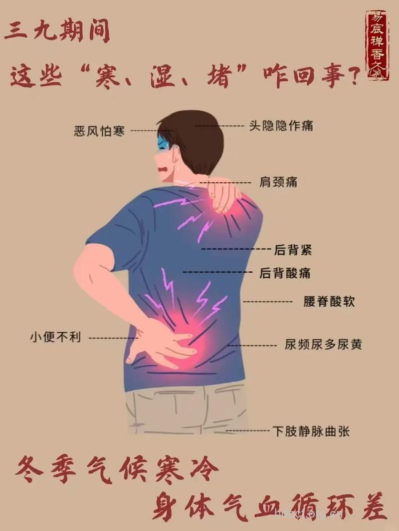 哪些病疾让男人腰酸背痛