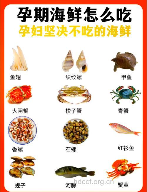 海鲜怎么吃最有营养