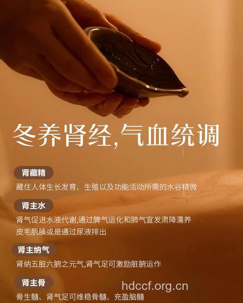 男人肾脏是关键 注意腰部保暖能补肾
