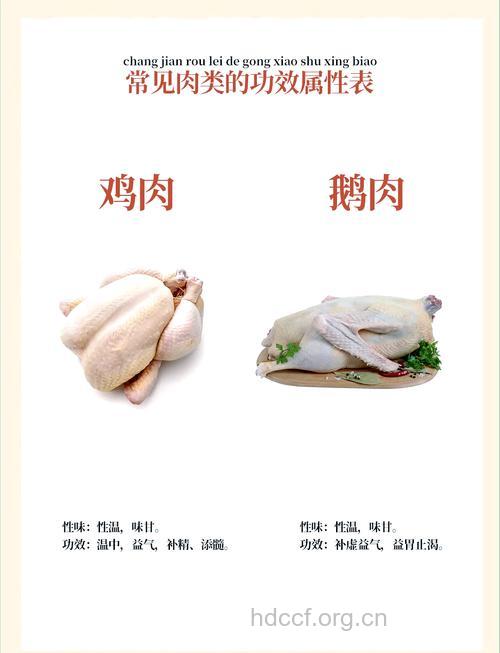 鸡肉和鸭肉 男人吃哪种更滋补