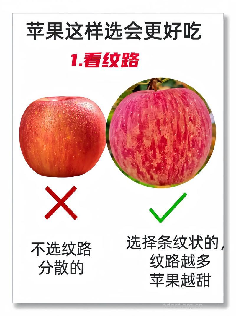 吃苹果好吗 选择苹果的10个理由