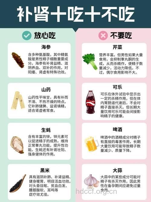 男性补肾吃什么 值得收藏的食谱