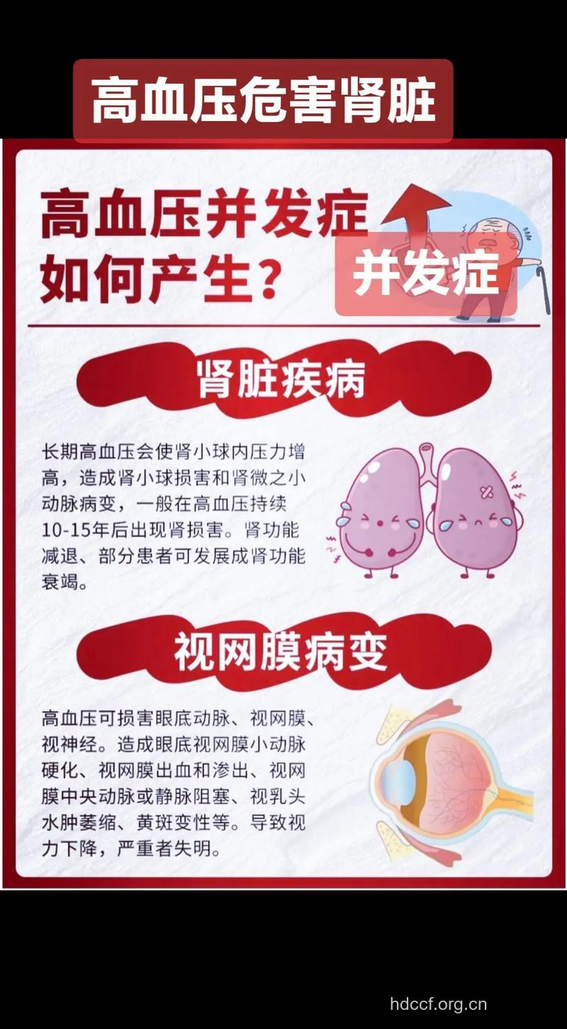 高血压会给肾脏带来什么危害