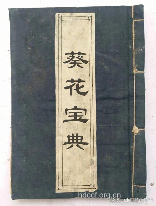 让男人坚持不泄的葵花宝典
