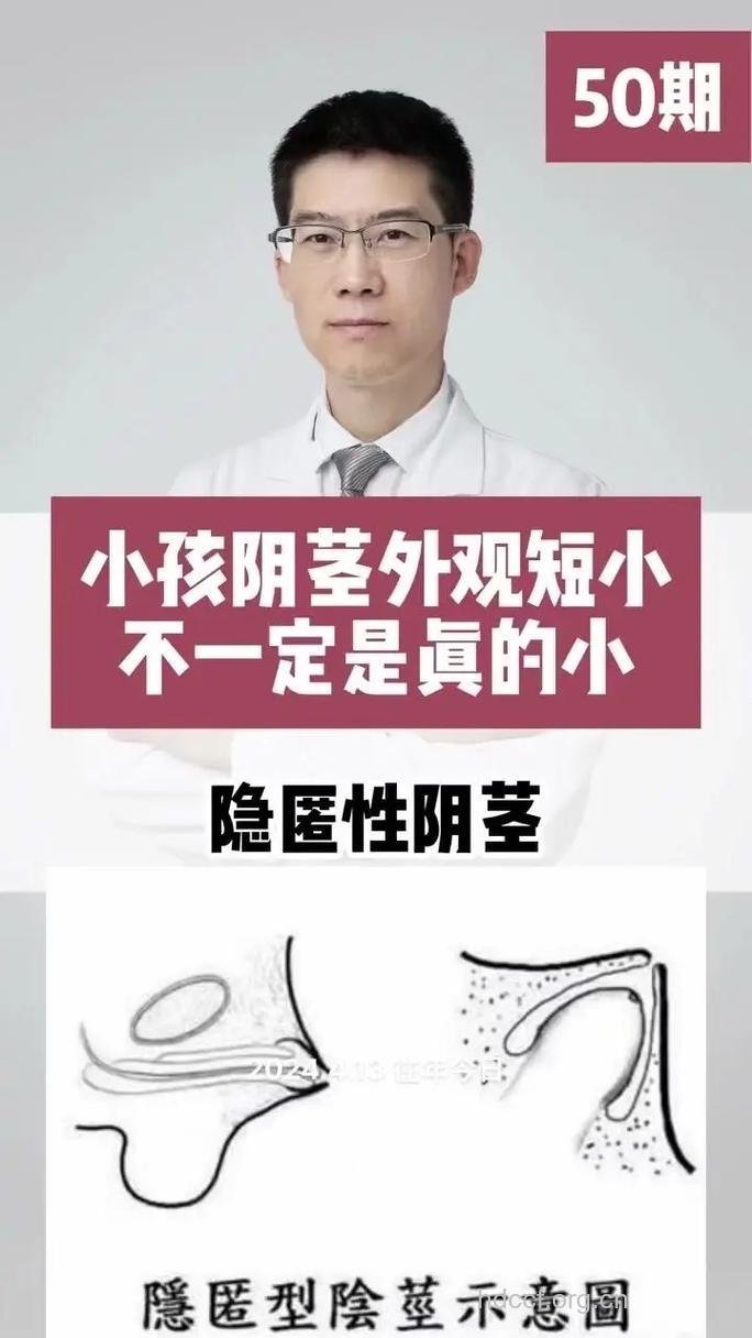 阴茎短小到底是谁的错？