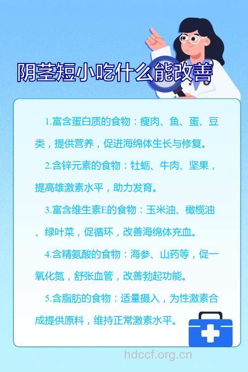 阴茎短小的饮食疗法有哪些?
