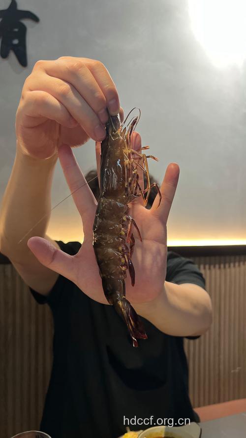 多吃虾 让男人身体更威猛