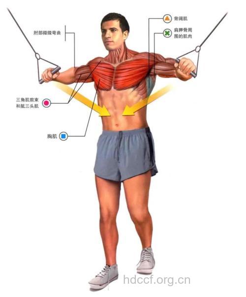 有胸的男人最性感 上班族男人怎么锻炼胸肌
