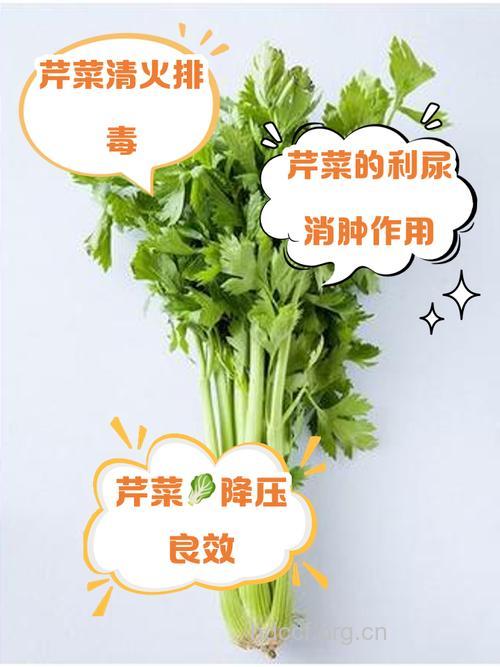 男人吃芹菜会杀精? 男人应该多补充维生素