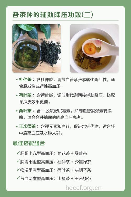 高血压喝哪种茶好