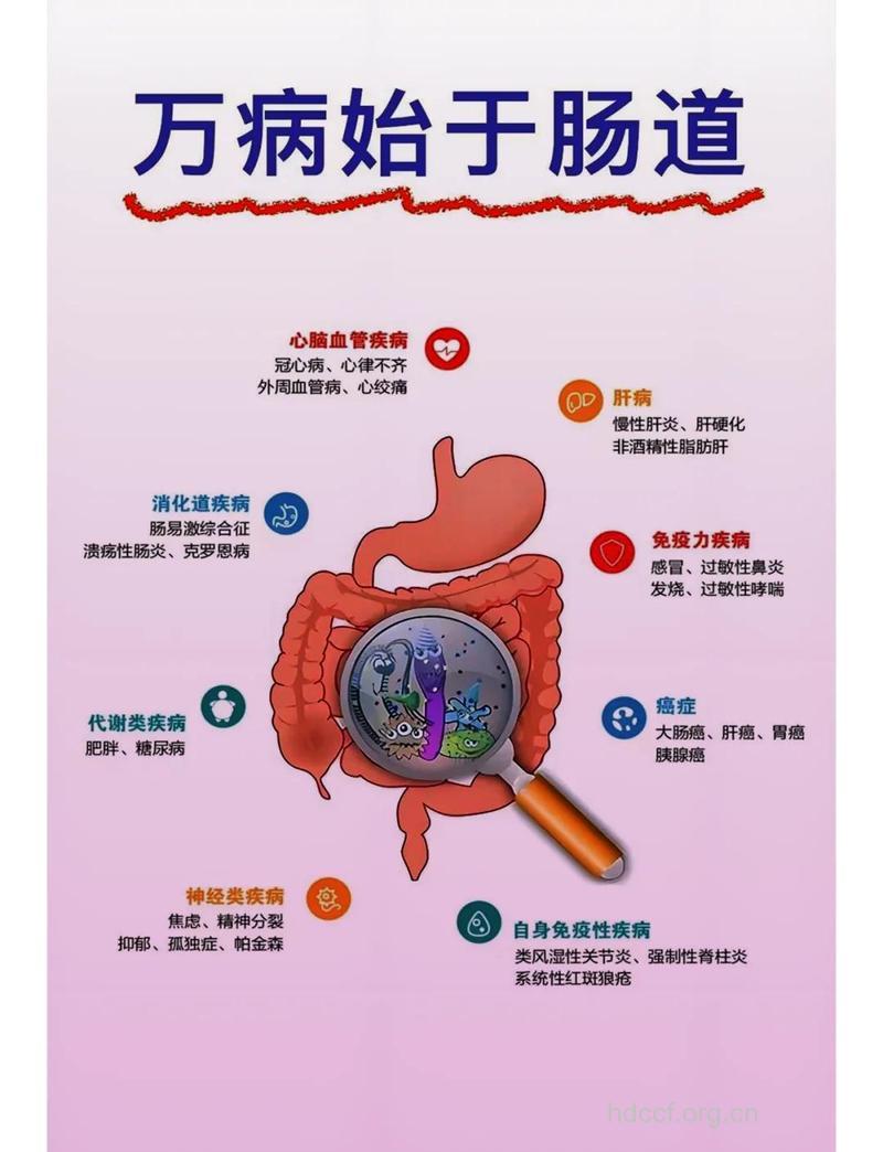 肠胃疾病有哪些？ 男人要学会预防肠胃疾病