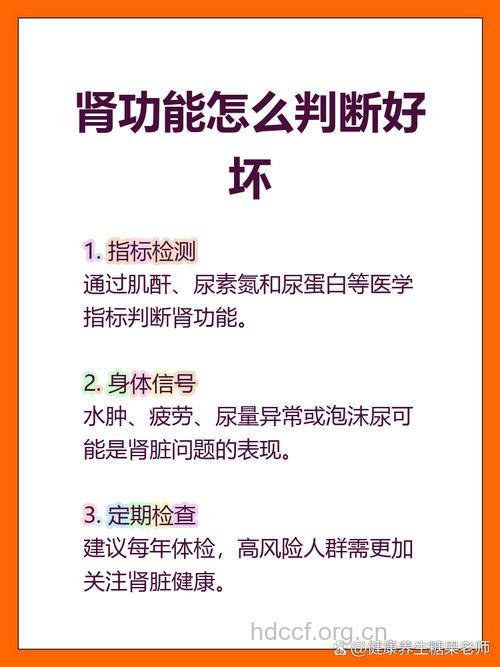 判断肾功能好坏的4个要点