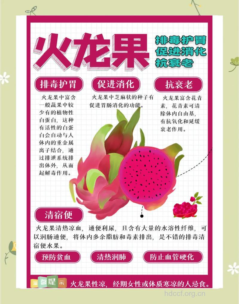 火龙果的功效与作用有哪些