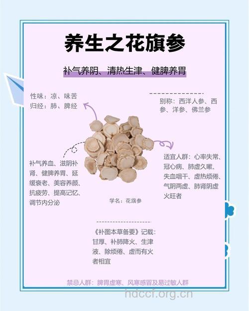花旗参的功效 吃花旗参的好处