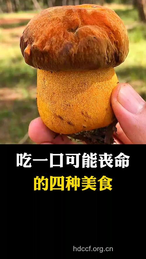 14种常见食物吃了会丧命