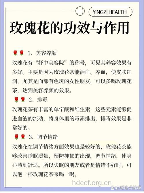 玫瑰花有什么功效与作用