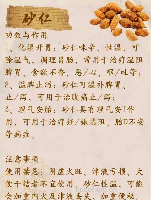 砂仁的功效 吃砂仁的好处
