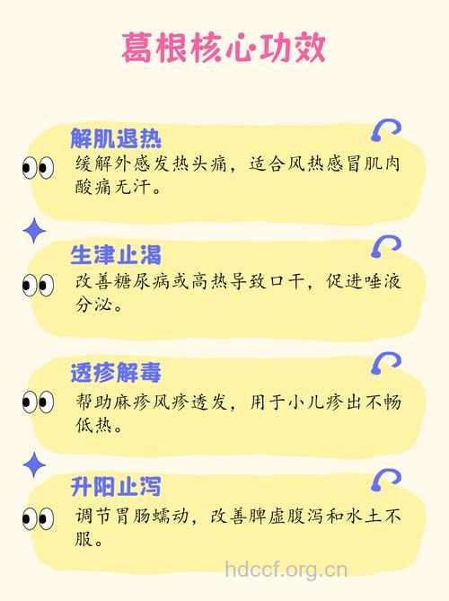 葛根的功效 男人吃葛根的好处