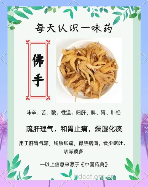 食用仙人掌的功效 男人吃仙人掌的好处