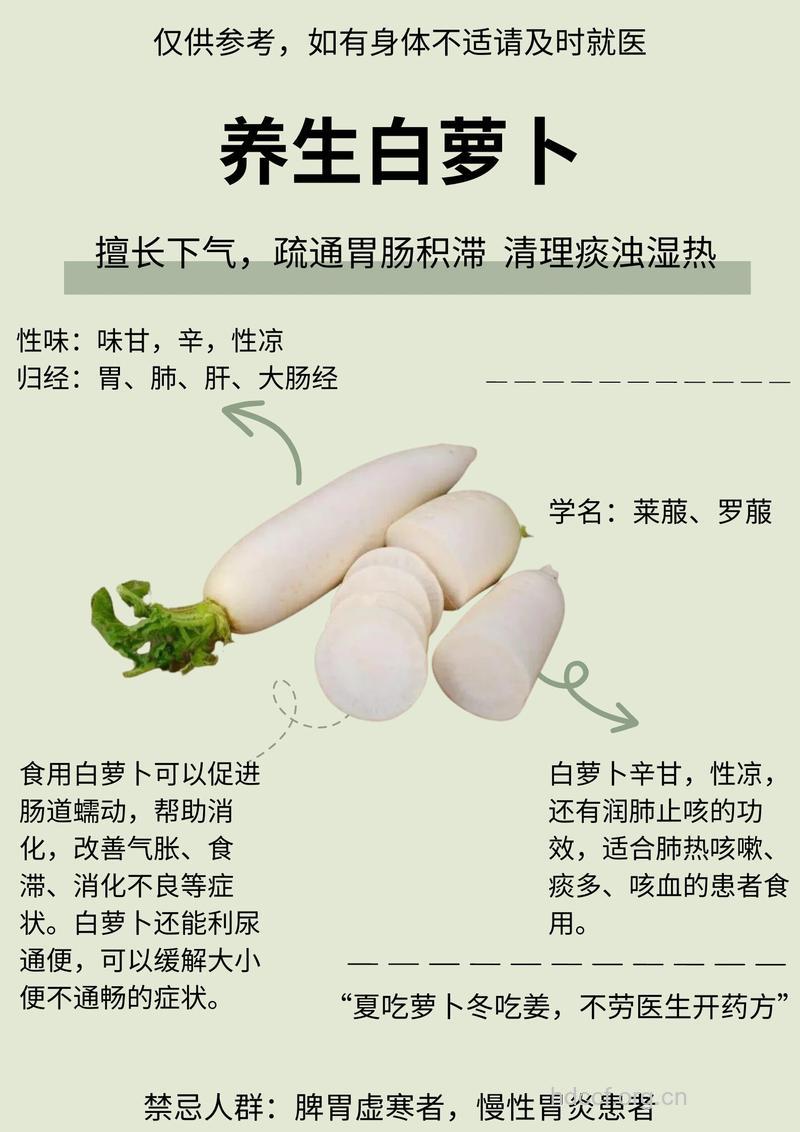 白萝卜的功效 吃白萝卜的好处