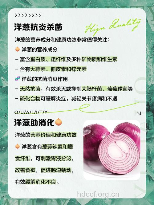 洋葱的功效 男人吃洋葱的好处