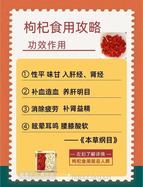 枸杞的功效 怎么吃枸杞最滋养