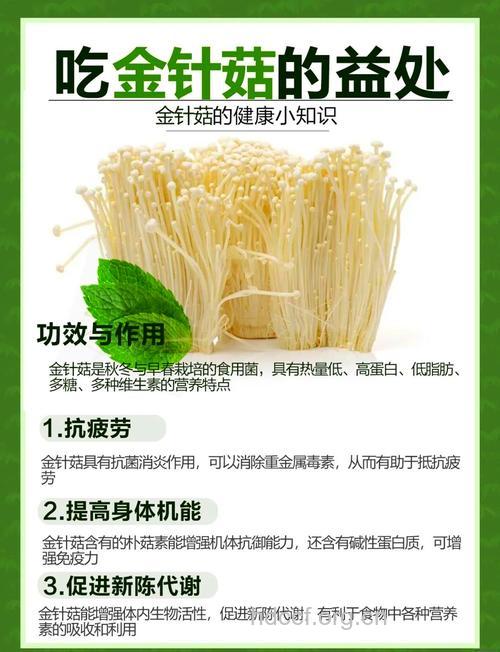 吃金针菇好吗 金针菇有什么营养价值
