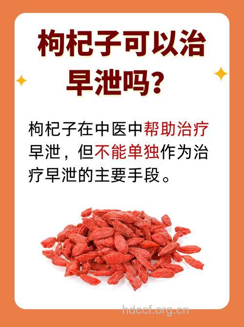 吃枸杞能治疗男人阳痿吗