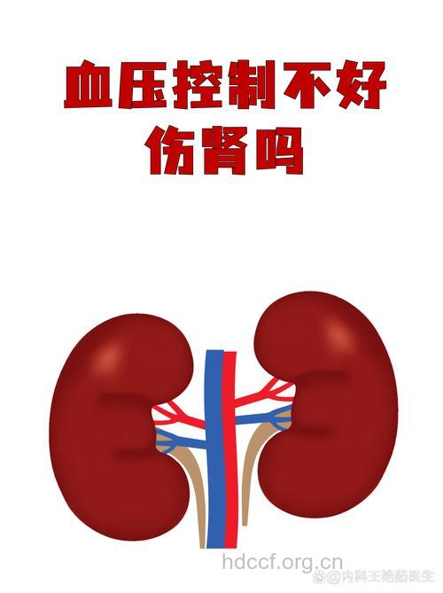 高血压当心连累肾脏