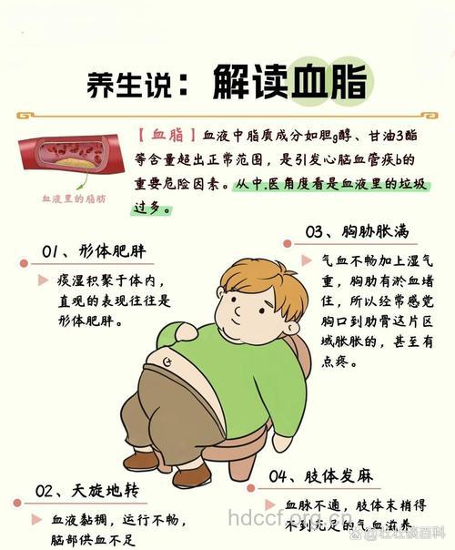 中医对高血脂的理解