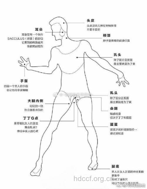 揭秘男人和女人身体的敏感地带