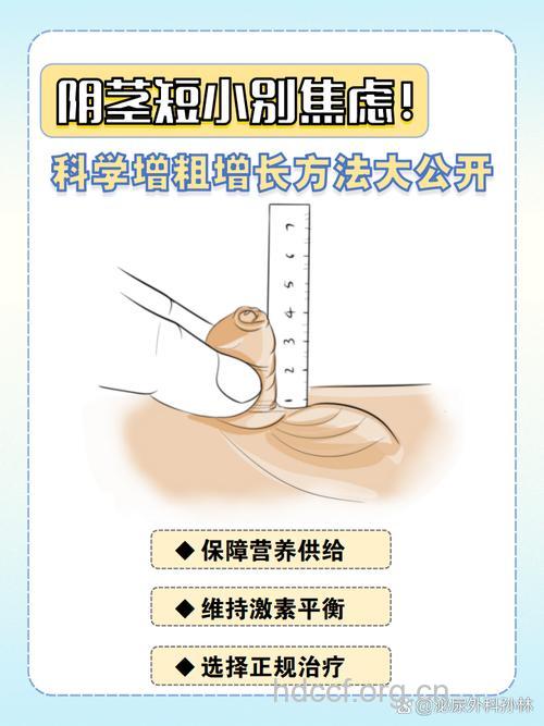 阴茎短小？6个方法可增大