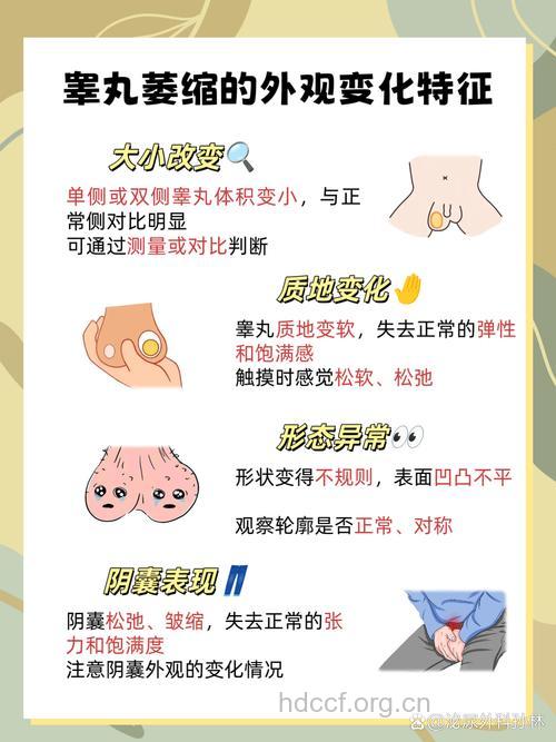 睾丸突然萎缩 6个因素在作祟