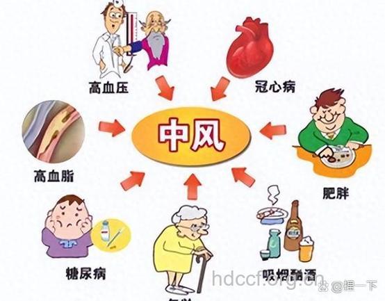 肥胖的高血压患者易得脑卒中