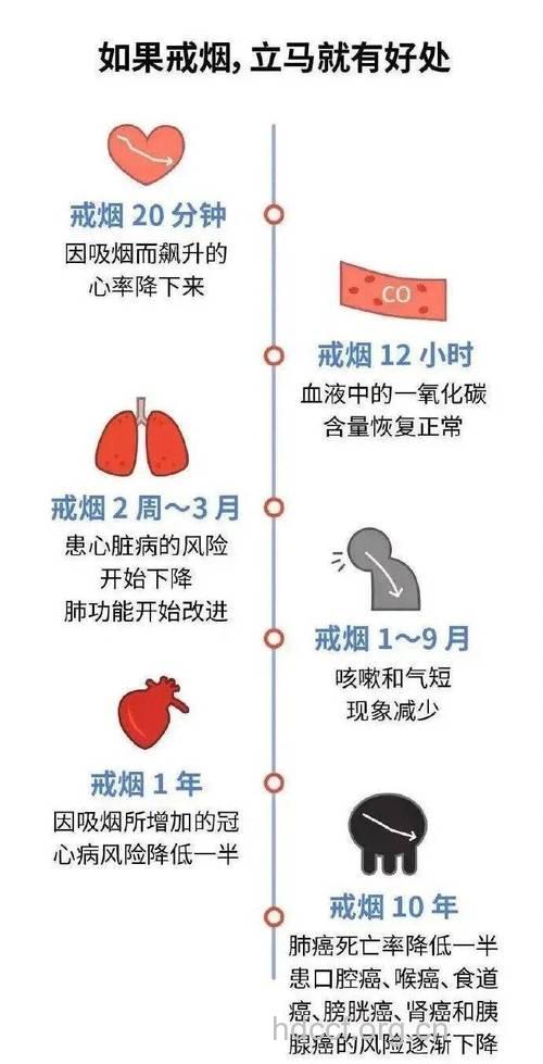 戒烟一年心血管病发病率下降１４％