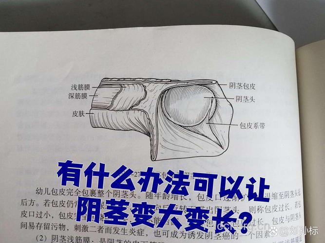 如何让阴茎变大 4个方法让小弟弟长大