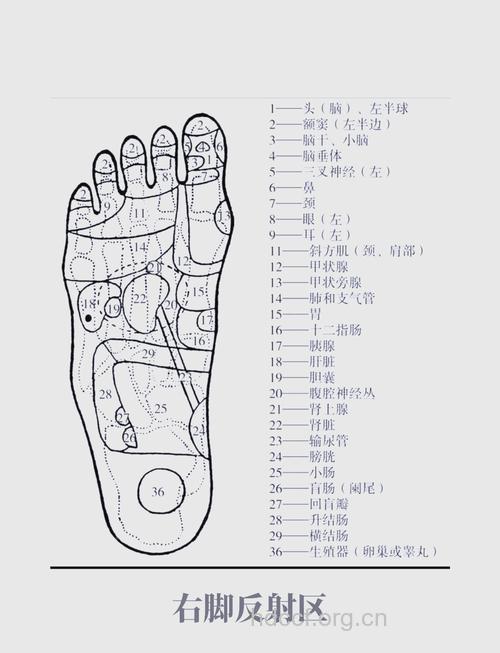 通过脚来看身体是否健康
