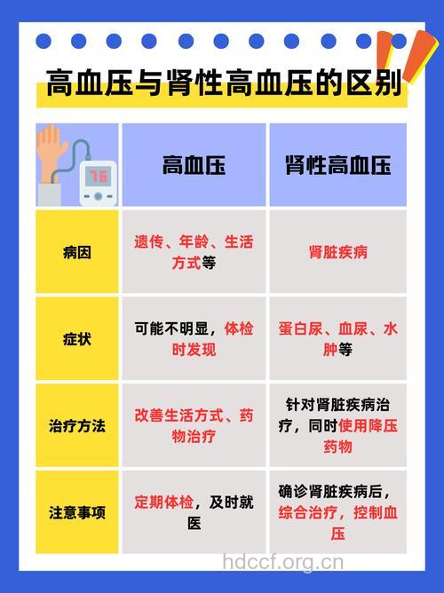 怎样区分原发性高血压和肾性高血压