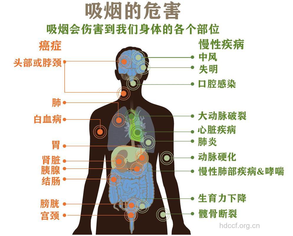 男人抽烟危害身体6大部位 吸烟引起的症状如何缓解