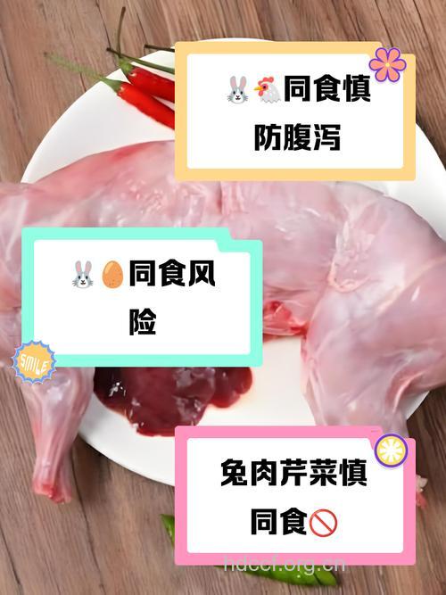 与兔肉相克的食物有哪些