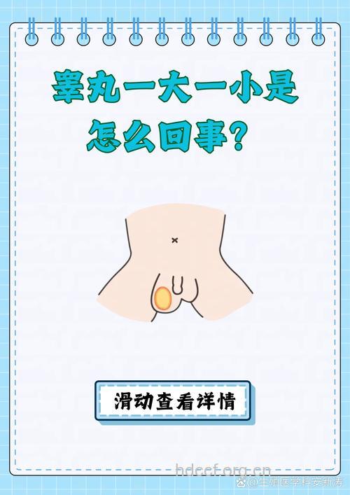 睾丸小正常吗 睾丸小影响性能力和生育吗