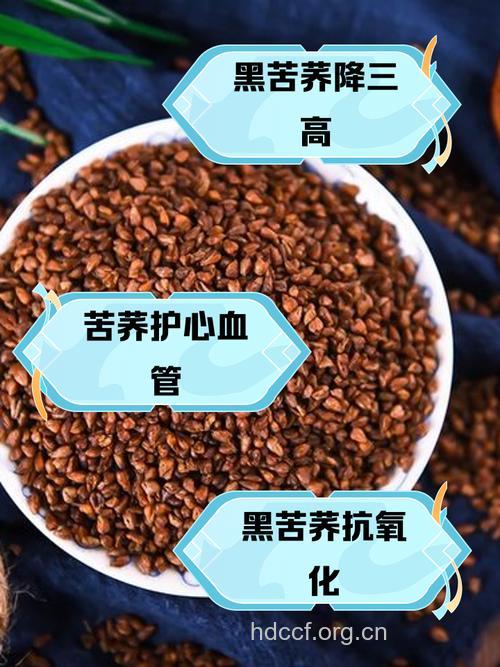 常吃荞麦可防高血压和脑出血等心血管病