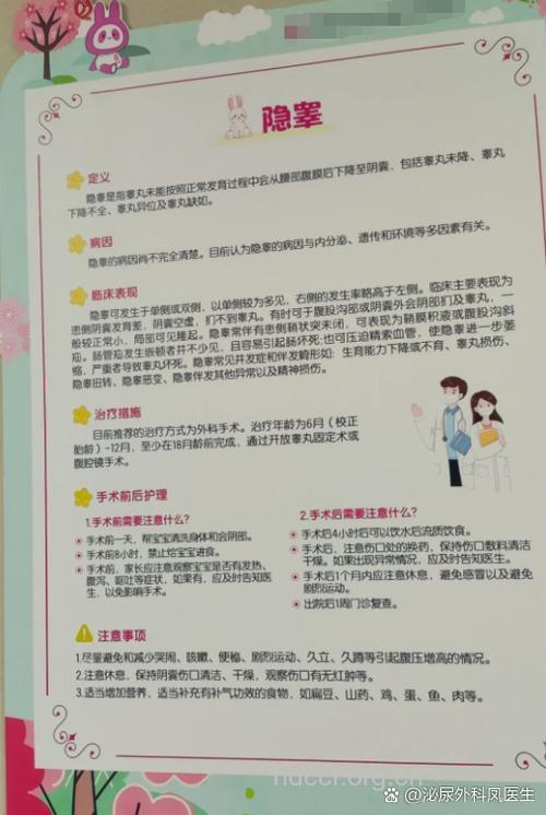 单侧隐睾能怀孕吗 听专家详解