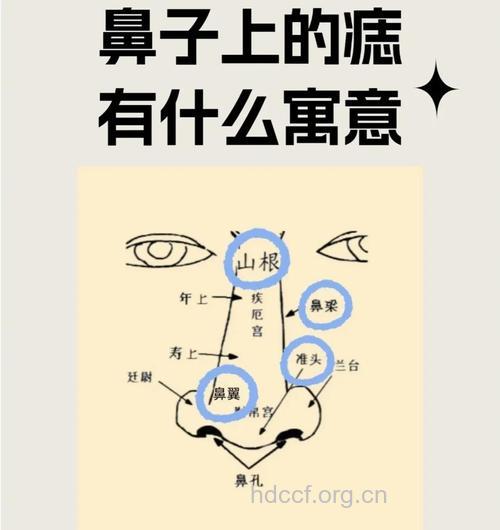 梦见自己的鼻子长痣是什么意思