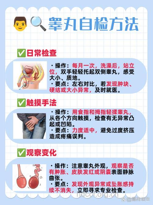 隐睾疾病需检查 原来病因有这些